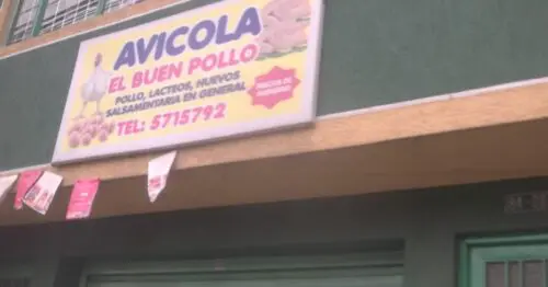 AVICOLA EL BUEN POLLO AVICOLA EL BUEN POLLO